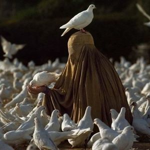 Meet your Posher, Alexia